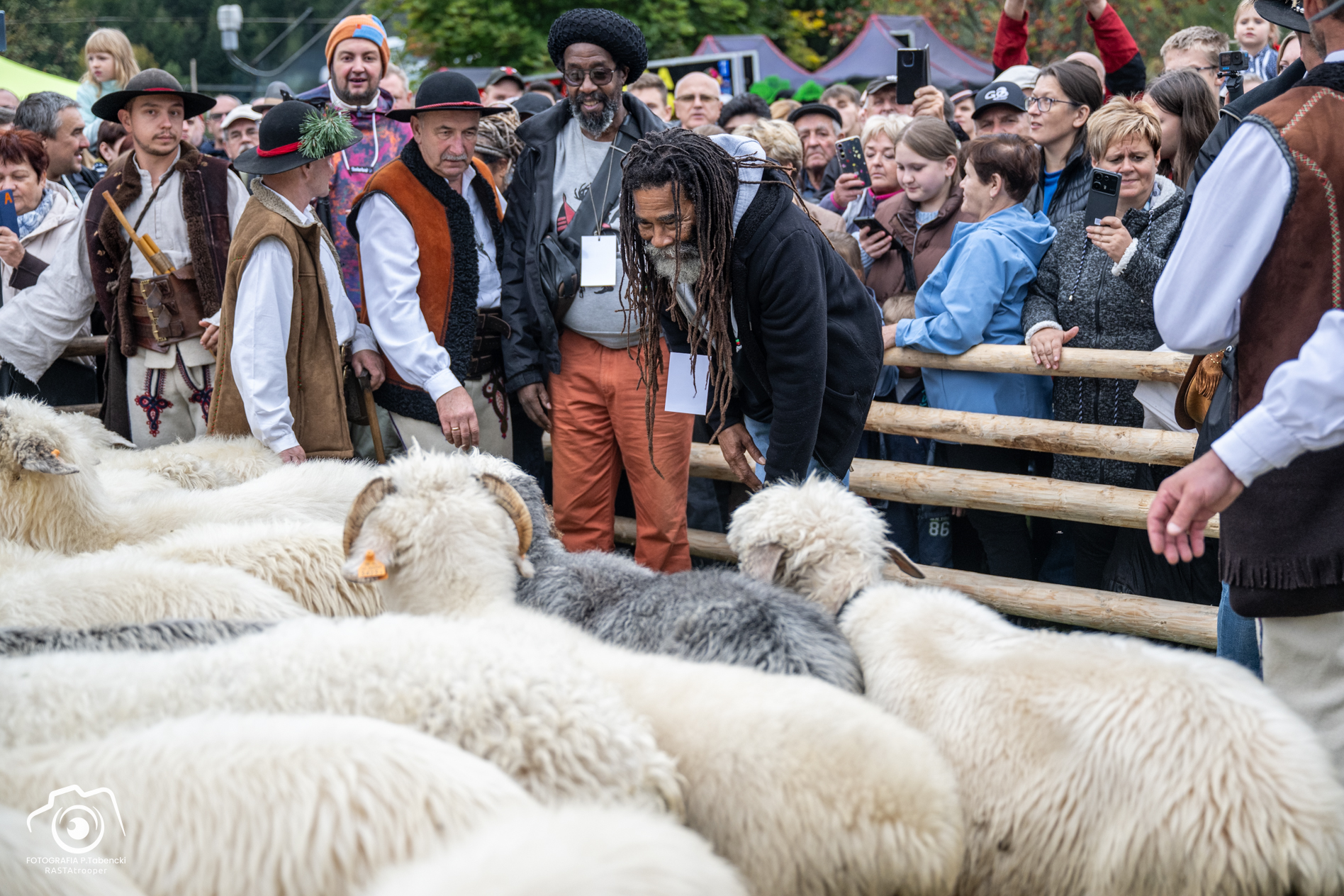 Meeting the Shepards and sheep